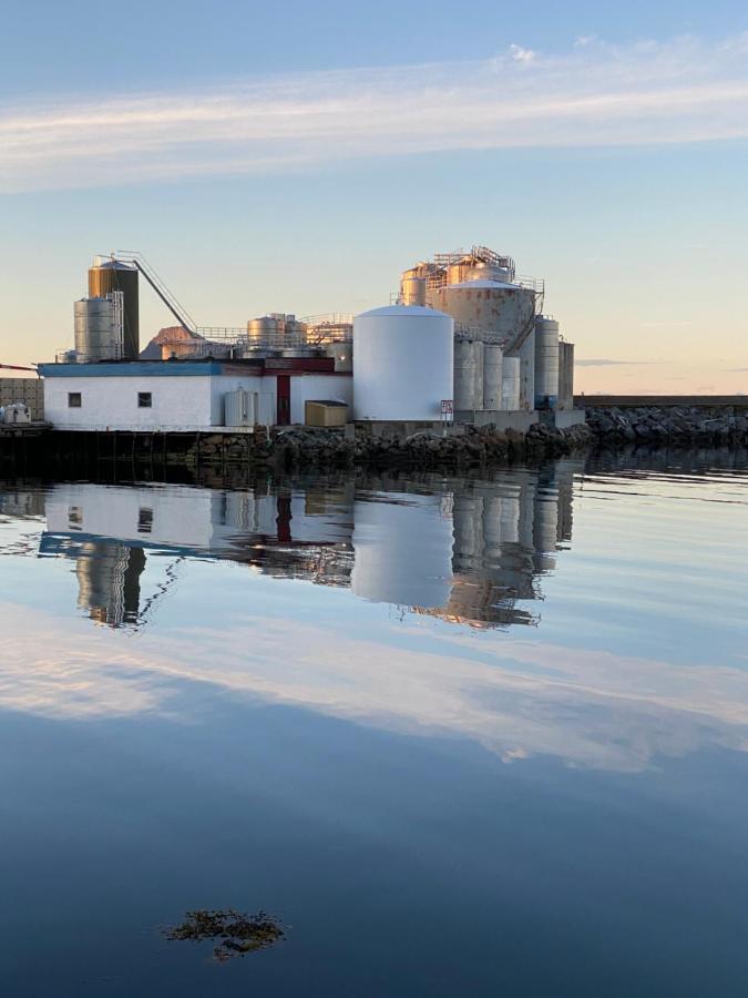 Nordlandshuset "Lottebakken", Ballstad In Lofoten Экстерьер фото