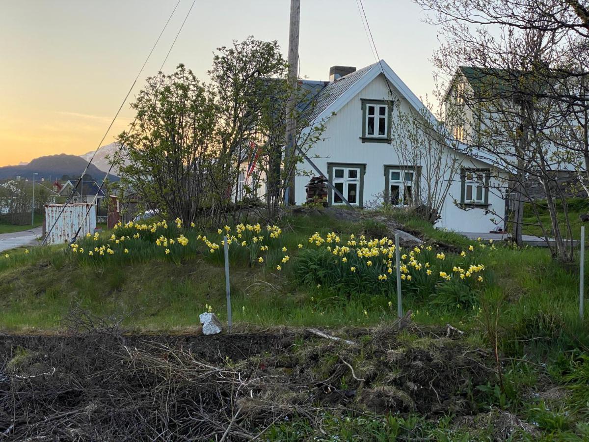 Nordlandshuset "Lottebakken", Ballstad In Lofoten Экстерьер фото